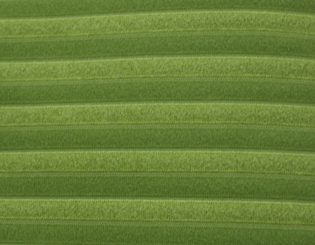 bicolor #11