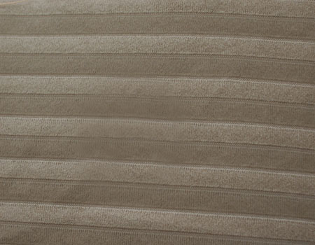 bicolor#1